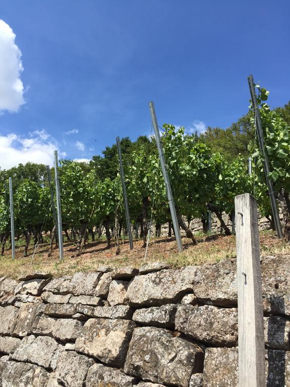 Alte Rose Gasthaus Ebelsbach エクステリア 写真